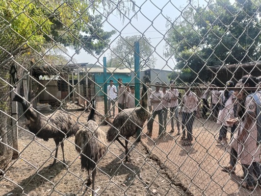 Zoo Park